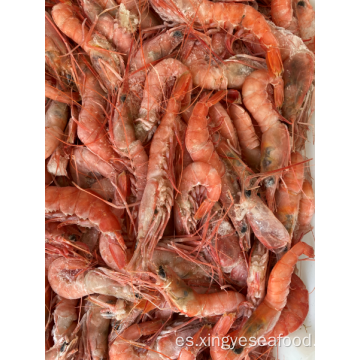 Langostino rojo de aguas profundas congeladas